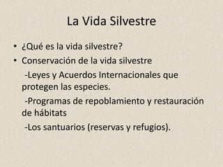 La Vida Silvestre
• ¿Qué es la vida silvestre?
• Conservación de la vida silvestre
-Leyes y Acuerdos Internacionales que
protegen las especies.
-Programas de repoblamiento y restauración
de hábitats
-Los santuarios (reservas y refugios).
 