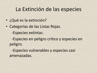 La Extinción de las especies
• ¿Qué es la extinción?
• Categorías de las Listas Rojas.
-Especies extintas.
-Especies en peligro crítico y especies en
peligro.
-Especies vulnerables y especies casi
amenazadas.
 