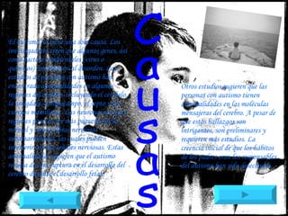 El autismo no tiene una sola causa. Los investigadores creen que algunos genes, así como factores ambientales (virus o químicos) contribuyen al desorden. Los estudios de personas con autismo han encontrado anormalidades en algunas regiones del cerebro, incluyendo el cerebelo, la amígdala, el hipocampo, el septo y los cuerpos mamiliares. Las neuronas en estas regiones parecen ser más pequeñas de lo normal y tienen fibras nerviosas subdesarrolladas, las cuales pueden interferir con las señales nerviosas. Estas anormalidades sugieren que el autismo resulta de una ruptura en el desarrollo del cerebro durante el desarrollo fetal.  Causas Otros estudios sugieren que las personas con autismo tienen anormalidades en las moléculas mensajeras del cerebro. A pesar de que estos hallazgos son intrigantes, son preliminares y requieren más estudios. La creencia inicial de que los hábitos de los padres eran los responsables del autismo han sido desechados. 