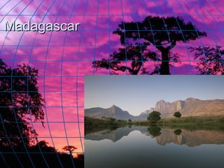 Madagascar 