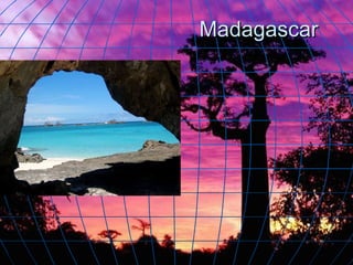 Madagascar 