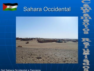 Sahara Occidental Campamentos Refugiados Del Sahara Occidental a Tanzania 