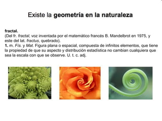 fractal. (Del fr.  fractal , voz inventada por el matemático francés B. Mandelbrot en 1975, y este del lat.  fractus , quebrado). 1.  m.  Fís.  y  Mat.  Figura plana o espacial, compuesta de infinitos elementos, que tiene la propiedad de que su aspecto y distribución estadística no cambian cualquiera que sea la escala con que se observe. U. t. c. adj. 