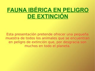 FAUNA IBÉRICA EN PELIGRO DE EXTINCIÓN Esta presentación pretende ofrecer una pequeña muestra de todos los animales que se encuentran en peligro de extinción que, por desgracia son muchos en todo el planeta. 