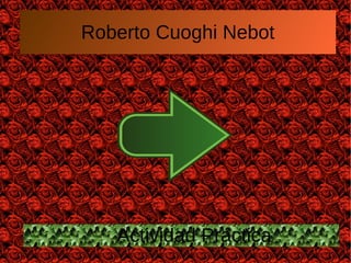 Roberto Cuoghi Nebot
Actividad Práctica
 