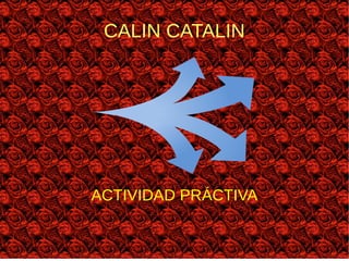 CALIN CATALIN
ACTIVIDAD PRÁCTIVA
 