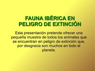 FAUNA IBÉRICA EN PELIGRO DE EXTINCIÓN Esta presentación pretende ofrecer una pequeña muestra de todos los animales que se encuentran en peligro de extinción que, por desgracia son muchos en todo el planeta. 