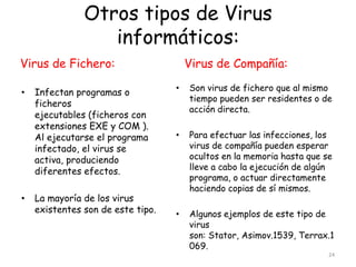 Otros tipos de Virus
                  informáticos:
Virus de Fichero:                      Virus de Compañía:
                                   •   Son virus de fichero que al mismo
•   Infectan programas o
                                       tiempo pueden ser residentes o de
    ficheros
                                       acción directa.
    ejecutables (ficheros con
    extensiones EXE y COM ).
    Al ejecutarse el programa      •   Para efectuar las infecciones, los
    infectado, el virus se             virus de compañía pueden esperar
    activa, produciendo                ocultos en la memoria hasta que se
    diferentes efectos.                lleve a cabo la ejecución de algún
                                       programa, o actuar directamente
                                       haciendo copias de sí mismos.
•   La mayoría de los virus
    existentes son de este tipo.   •   Algunos ejemplos de este tipo de
                                       virus
                                       son: Stator, Asimov.1539, Terrax.1
                                       069.
                                                                        24
 