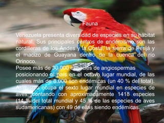 Venezuela presenta diversidad de especies en su hábitat
natural. Sus principales centros de endemismo son las
cordilleras de los Andes y la Costa, la sierra de Perijá y
el macizo de Guayana dentro de la cuenca del río
Orinoco.
Posee más de 30.000 especies de angiospermas
posicionando al país en el octavo lugar mundial, de las
cuales más de 8.000 son endémicas (un 40 % del total).
Asimismo ocupa el sexto lugar mundial en especies de
aves, contando con aproximadamente 1418 especies
(14 % del total mundial y 45 % de las especies de aves
sudamericanas) con 49 de ellas siendo endémicas.
Fauna
 