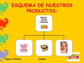 ESQUEMA DE NUESTROS PRODUCTOS: GRUPO  LECHE PASCUAL 