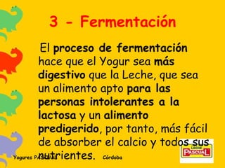 3 - Fermentación El  proceso de fermentación  hace que el Yogur sea  más digestivo  que la Leche, que sea un alimento apto  para las personas intolerantes a la lactosa  y un  alimento predigerido , por tanto, más fácil de absorber el calcio y todos sus nutrientes. 