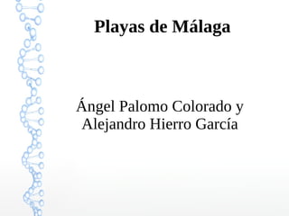 Playas de Málaga
Ángel Palomo Colorado y
Alejandro Hierro García
 