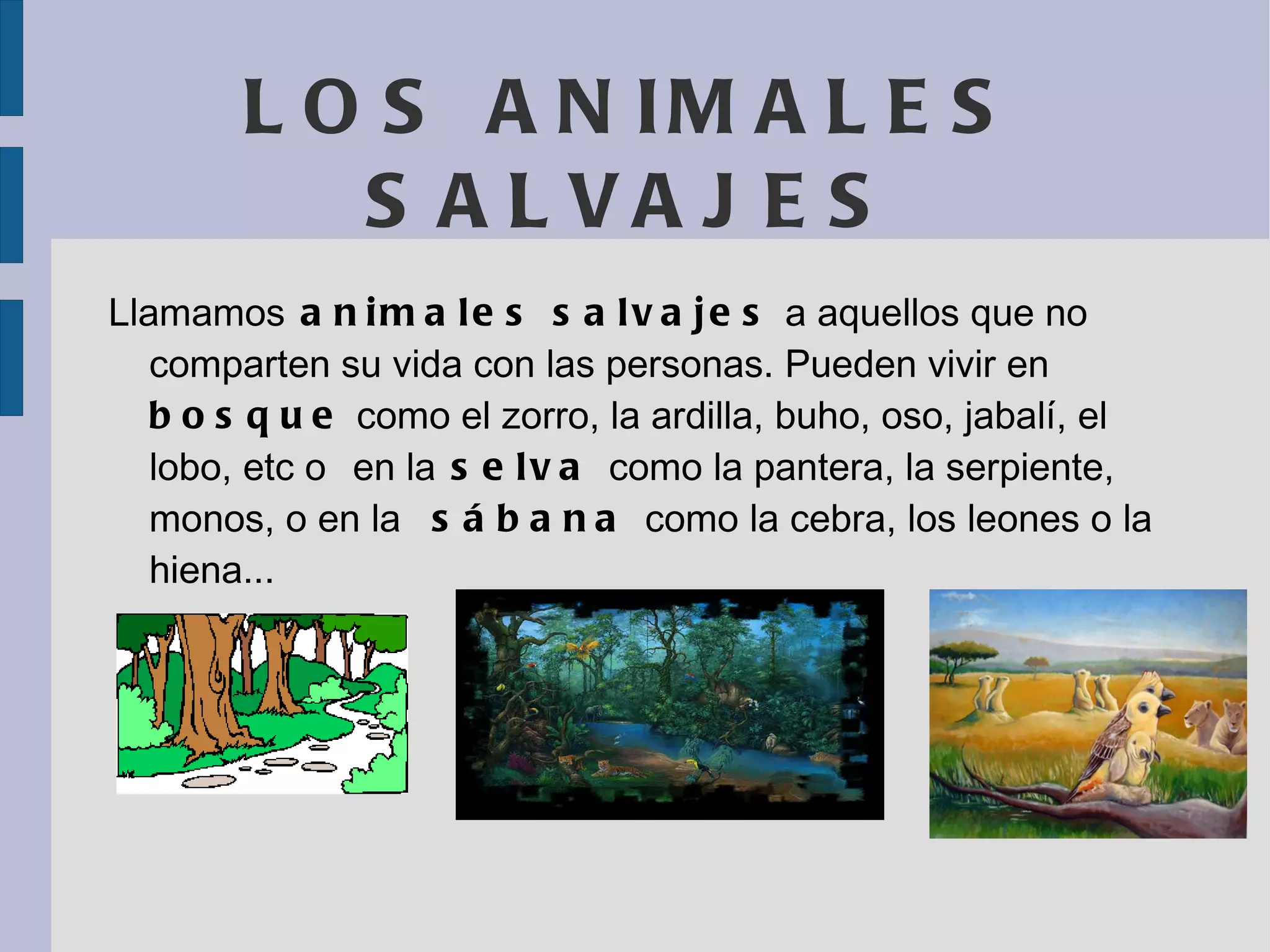 LOS ANIMALES SALVAJES Llamamos animales salvajes a aquellos que no comparten su vida con las personas. Pueden vivir en bosque como el zorro, la ardilla, buho, oso, jabalí, el lobo, etc o en la selva como la pantera, la serpiente, monos, o en la sábana como la cebra, los leones o la hiena...