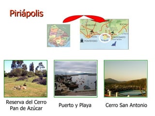 Piriápolis Reserva del Cerro Pan de Azúcar Puerto y Playa Cerro San Antonio 