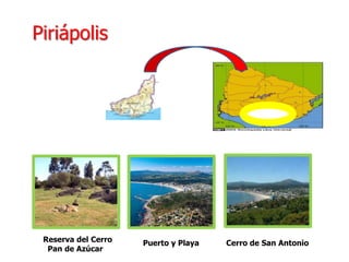 Piriápolis
Reserva del Cerro Puerto y Playa Cerro de San Antonio
Pan de Azúcar