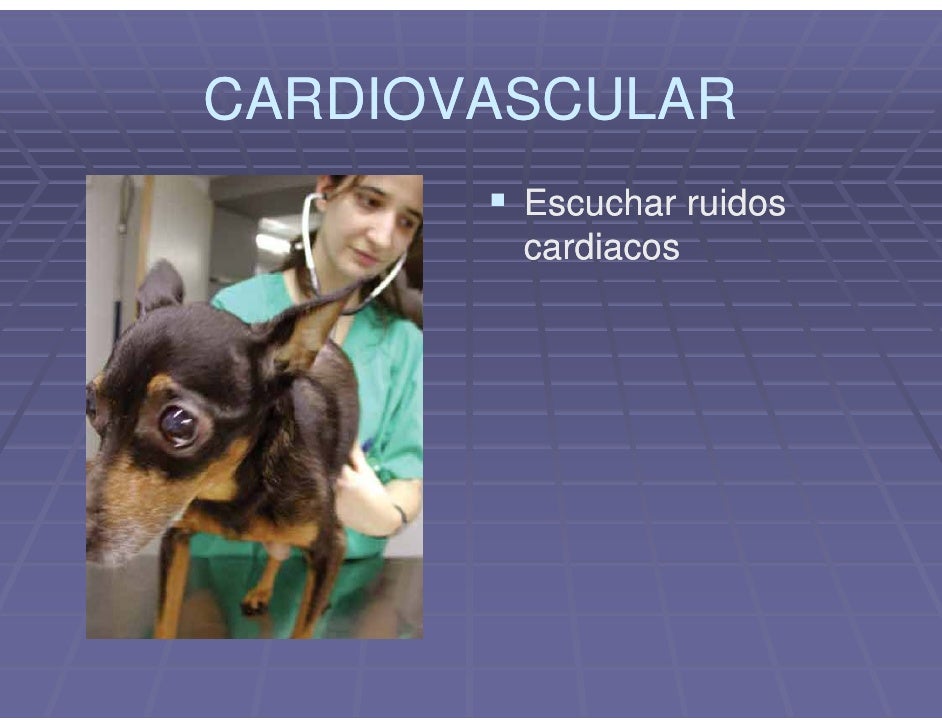 La hemorragia de la nariz a la osteocondrosis