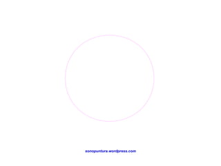 sonopuntura.wordpress.com
 