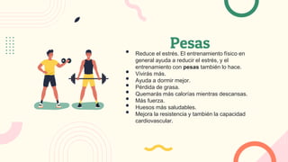 Pesas
• Reduce el estrés. El entrenamiento físico en
general ayuda a reducir el estrés, y el
entrenamiento con pesas también lo hace.
• Vivirás más.
• Ayuda a dormir mejor.
• Pérdida de grasa.
• Quemarás más calorías mientras descansas.
• Más fuerza.
• Huesos más saludables.
• Mejora la resistencia y también la capacidad
cardiovascular.
 