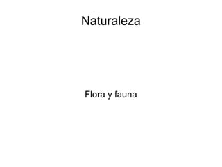 Naturaleza

Flora y fauna

 