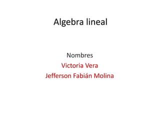 Algebra lineal,[object Object],Nombres ,[object Object],Victoria Vera,[object Object],Jefferson Fabián Molina,[object Object]