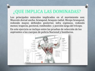 ¿QUE IMPLICA LAS DOMINADAS?
Los principales músculos implicados en el movimiento son:
Musculo dorsal ancho, branquial, braquio radial, Bíceps branquial,
redondo mayor, deltoides posterior, infra espinoso, redondo
menor, trapecio, pectoral, romboides y porción larga del tríceps.
En este ejercicio se incluye entre las pruebas de selección de los
aspirantes a los cuerpos de policía Nacional y bomberos.
 