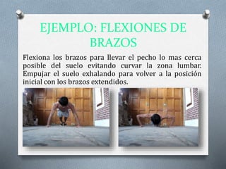 EJEMPLO: FLEXIONES DE
BRAZOS
Flexiona los brazos para llevar el pecho lo mas cerca
posible del suelo evitando curvar la zona lumbar.
Empujar el suelo exhalando para volver a la posición
inicial con los brazos extendidos.
 