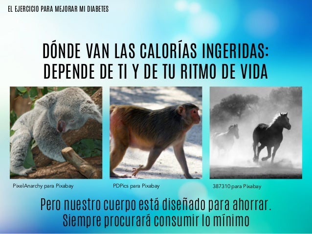 Ejercicio fisico y diabetes: Ejercicio fisico y diabetes: