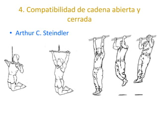 4. Compatibilidad de cadena abierta y
                  cerrada
• Arthur C. Steindler
 