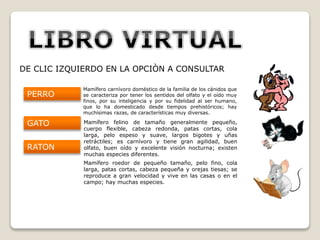 DE CLIC IZQUIERDO EN LA OPCIÒN A CONSULTAR
PERRO
GATO
RATON
Mamífero carnívoro doméstico de la familia de los cánidos que
se caracteriza por tener los sentidos del olfato y el oído muy
finos, por su inteligencia y por su fidelidad al ser humano,
que lo ha domesticado desde tiempos prehistóricos; hay
muchísimas razas, de características muy diversas.
Mamífero felino de tamaño generalmente pequeño,
cuerpo flexible, cabeza redonda, patas cortas, cola
larga, pelo espeso y suave, largos bigotes y uñas
retráctiles; es carnívoro y tiene gran agilidad, buen
olfato, buen oído y excelente visión nocturna; existen
muchas especies diferentes.
Mamífero roedor de pequeño tamaño, pelo fino, cola
larga, patas cortas, cabeza pequeña y orejas tiesas; se
reproduce a gran velocidad y vive en las casas o en el
campo; hay muchas especies.
 