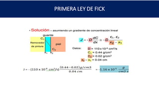 PRIMERA LEY DE FICK
-
 