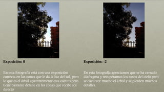 Exposición: 0 Exposición: -2
En esta fotografía está con una exposición
correcta en las zonas que le da la luz del sol, pero
lo que es el árbol aparentemente esta oscuro pero
tiene bastante detalle en las zonas que recibe sol
directo
En esta fotografía apreciamos que se ha cerrado
diafragma y recuperamos los tonos del cielo pero
se oscurece mucho el árbol y se pierden muchos
detalles.
 