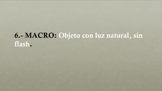 6.- MACRO: Objeto con luz natural, sin
flash.
 