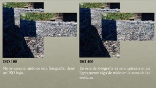 ISO 100 ISO 400
No se aprecia ruido en esta fotografía, tiene
un ISO bajo.
En esta de fotografía ya se empieza a notar
ligeramente algo de ruido en la zona de las
sombras.
 