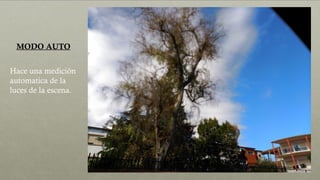 MODO AUTO
Hace una medición
automatica de la
luces de la escena.
 
