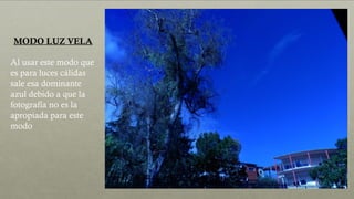 MODO LUZ VELA
Al usar este modo que
es para luces cálidas
sale esa dominante
azul debido a que la
fotografía no es la
apropiada para este
modo
 