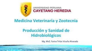 Medicina Veterinaria y Zootecnia
Producción y Sanidad de
Hidrobiológicos
Mg. MvZ. Fariva Trilce Vicuña Alvarado
 