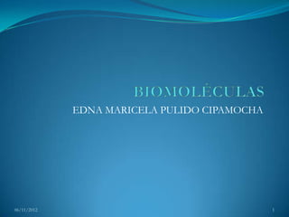 EDNA MARICELA PULIDO CIPAMOCHA




06/11/2012                                    1
 