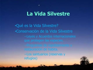 La Vida Silvestre
•Qué es la Vida Silvestre?
•Conservación de la Vida Silvestre
−Leyes y Acuerdos internacionales
que protegen las especies.
−Programas de repoblamiento y
restauración de habita.
−Los santuarios (reservas y
refugios)