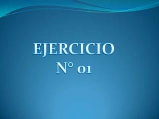 EJERCICIO N° 01 
