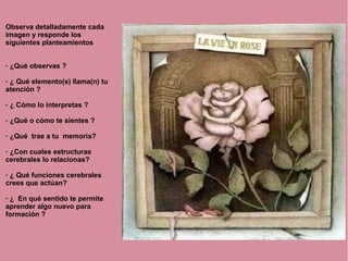 Observa detalladamente cada
imagen y responde los
siguientes planteamientos
- ¿Qué observas ?
- ¿ Qué elemento(s) llama(n) tu
atención ?
- ¿ Cómo lo interpretas ?
- ¿Qué o cómo te sientes ?
- ¿Qué trae a tu memoria?
- ¿Con cuales estructuras
cerebrales lo relacionas?
- ¿ Qué funciones cerebrales
crees que actúan?
- ¿ En qué sentido te permite
aprender algo nuevo para
formación ?
 