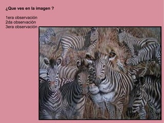 ¿Que ves en la imagen ?
1era observación
2da observación
3era observación
 