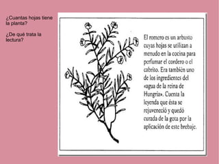 ¿Cuantas hojas tiene
la planta?
¿De qué trata la
lectura?
 