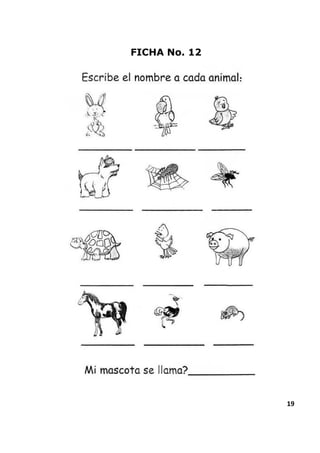 19
FICHA No. 12
 