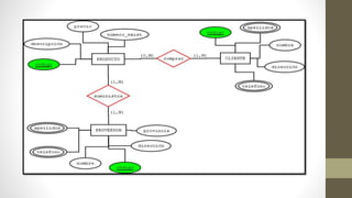 Ejercicios modelo-entidad-relacion