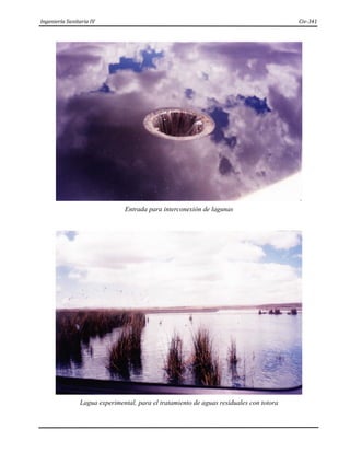 Ingeniería Sanitaria IV Civ-341
Entrada para interconexión de lagunas
Lagua experimental, para el tratamiento de aguas residuales con totora
 