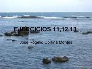 EJERCICIOS 11,12,13   Jose Rogelio Cortina Montes 