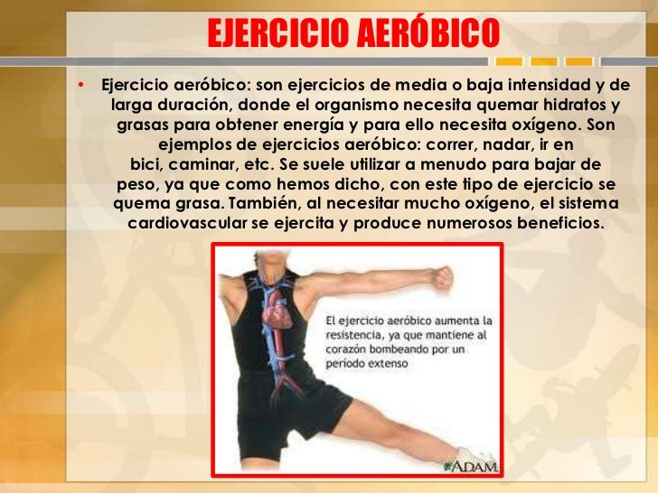 Ejercicios anaeróbicos y aeróbicos presentarlo Ejercicios anaeróbicos y aeróbicos presentarlo