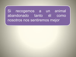 Si recogemos a un animal
abandonado tanto él como
nosotros nos sentiremos mejor
 