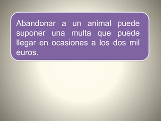 Abandonar a un animal puede
suponer una multa que puede
llegar en ocasiones a los dos mil
euros.
 
