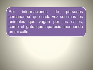 Por informaciones de personas
cercanas sé que cada vez son más los
animales que vagan por las calles,
como el gato que apareció moribundo
en mi calle.
 